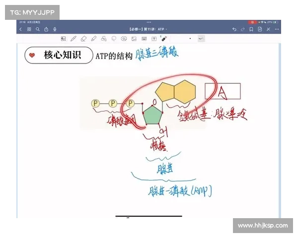 atp赛事规则 atp赛制 atp赛事规则 atp赛制